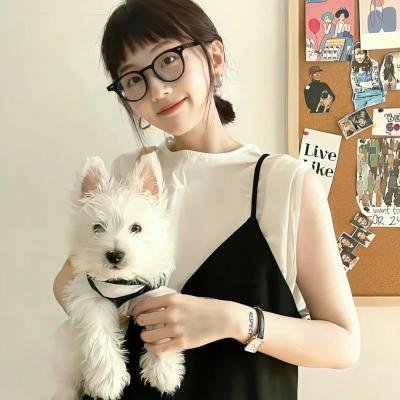 大明星醒目狗